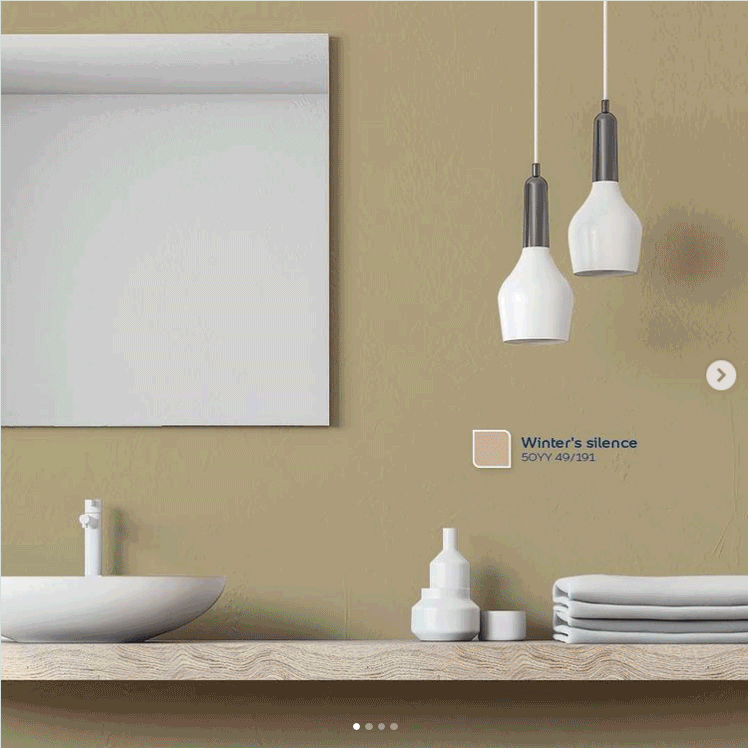Catalog Pro | DULUX PROFESSIONAL